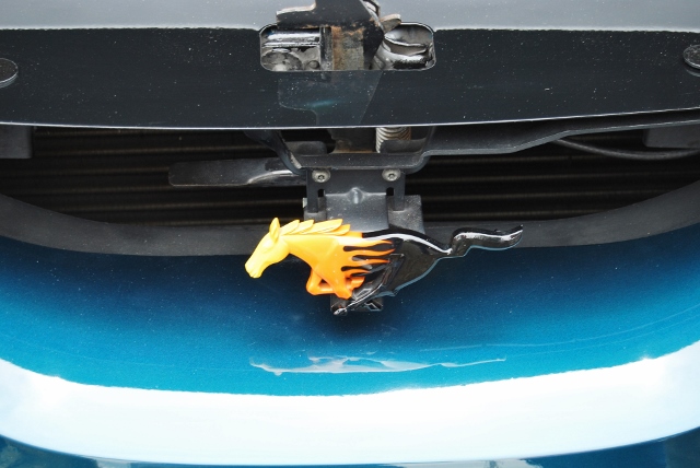 DSC_8548 (640x428).jpg