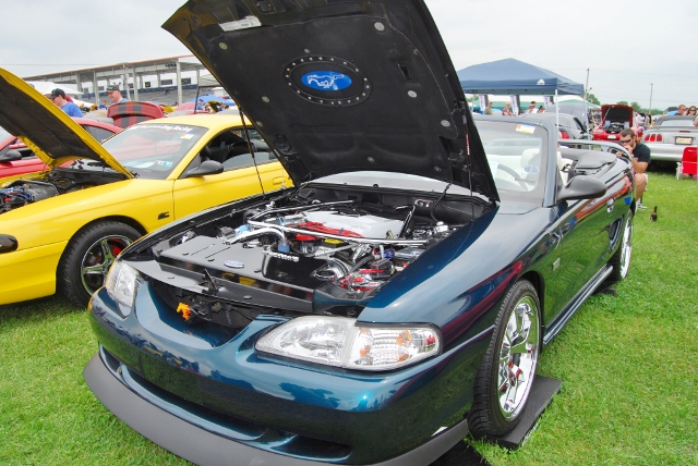 DSC_8546 (640x428).jpg