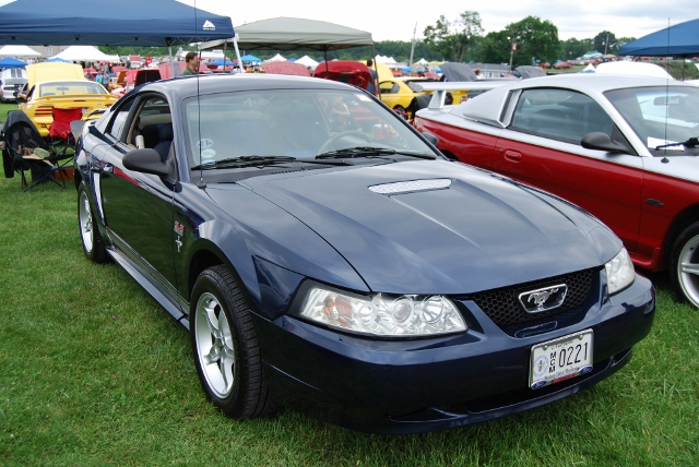 DSC_8531 (640x428).jpg