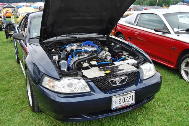 DSC_8529 (640x428).jpg