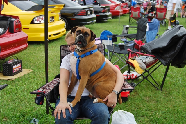 DSC_8524 (640x428).jpg