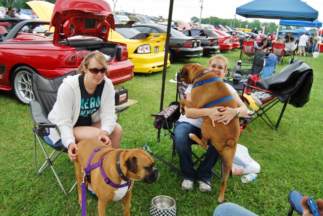 DSC_8523 (640x428).jpg