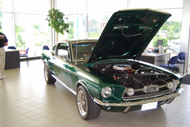 DSC_8938 (640x428).jpg