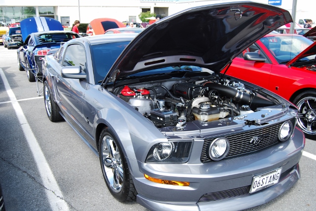 DSC_8910 (640x428).jpg