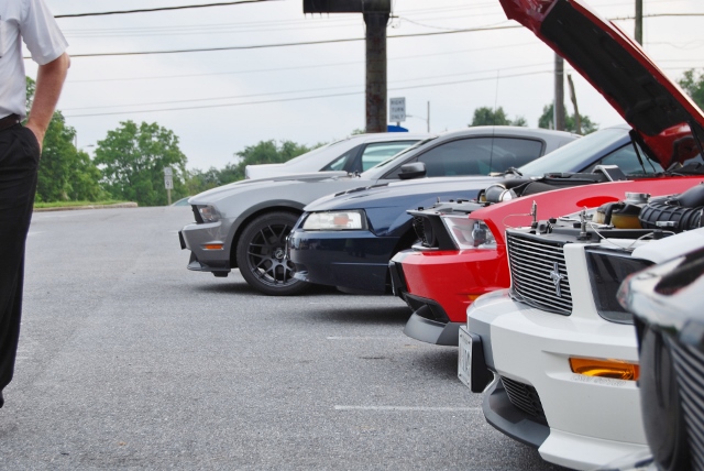 DSC_9770 (640x428).jpg