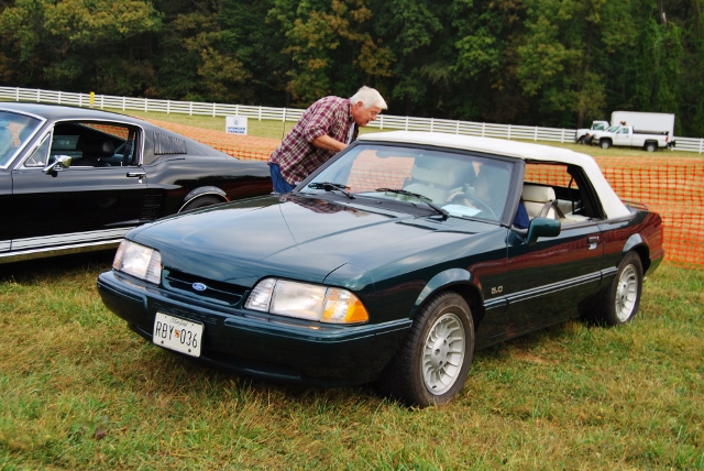 DSC_0350 (640x428).jpg
