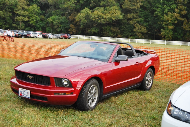 DSC_0337 (640x428).jpg
