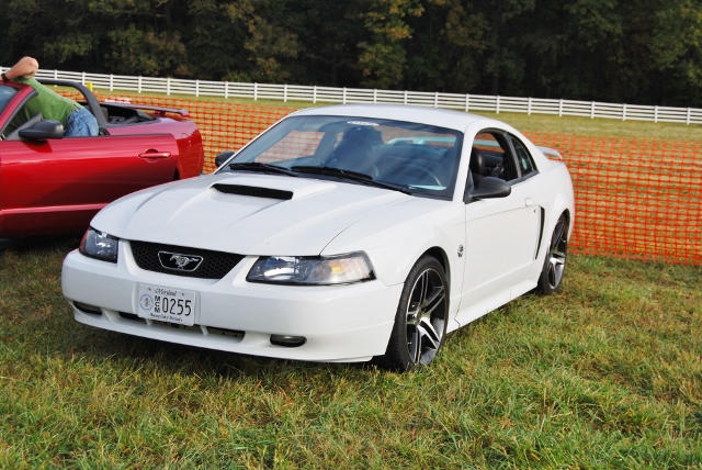 DSC_0334 (640x428).jpg