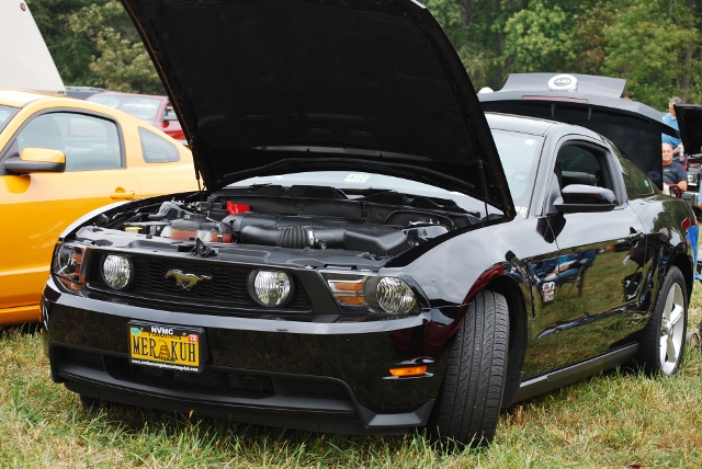 DSC_0393 (640x428).jpg