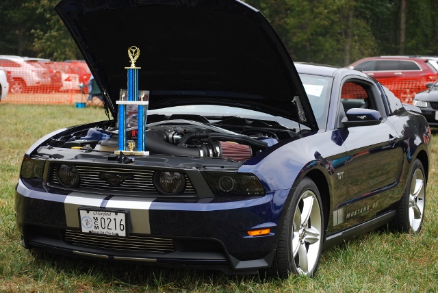 DSC_0481 (640x428).jpg