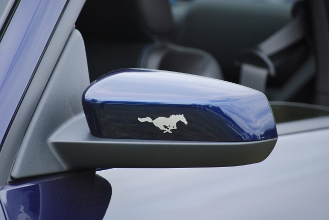 DSC_0478 (640x428).jpg