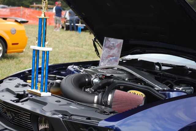 DSC_0475 (640x428).jpg