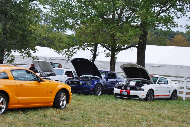 DSC_0471 (640x428).jpg