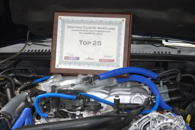 DSC_0468 (640x428).jpg