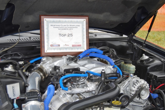 DSC_0460 (640x428).jpg