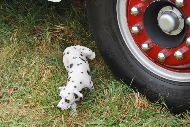 DSC_0419 (640x428).jpg