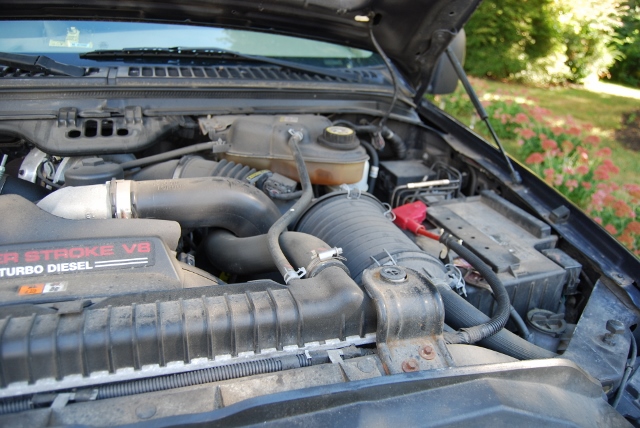 DSC_0502 (640x428).jpg