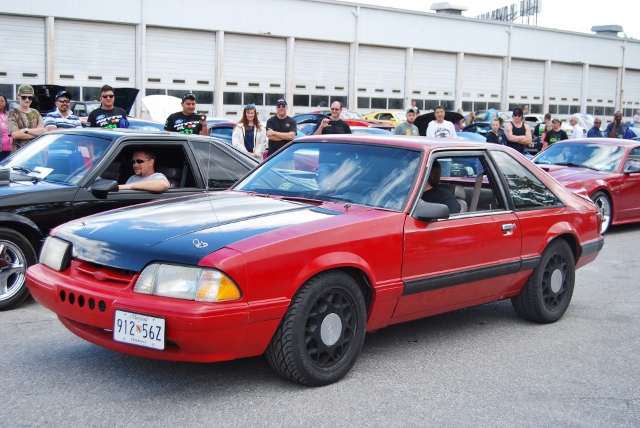 DSC_0913 (640x428).jpg