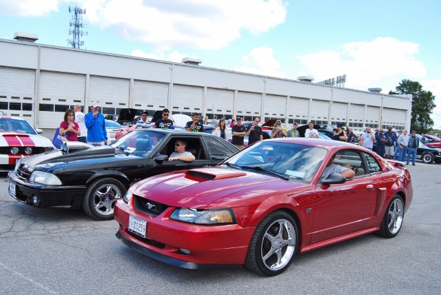 DSC_0904 (640x428).jpg