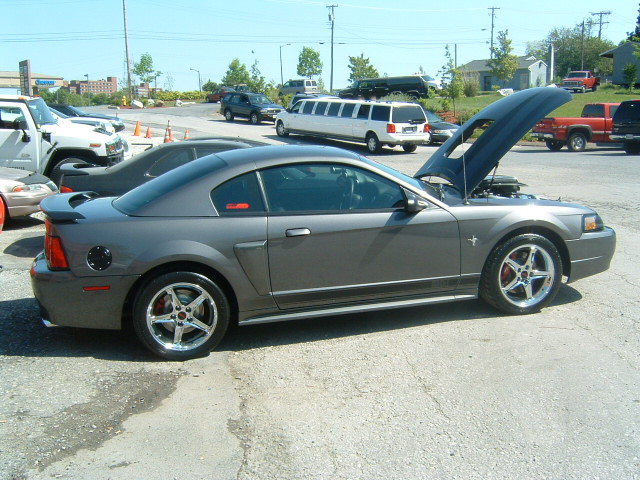 car pics 115.jpg