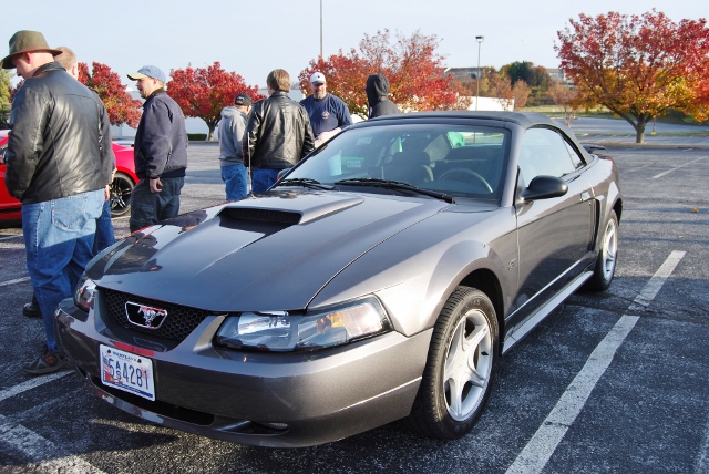 DSC_1267 (640x428).jpg