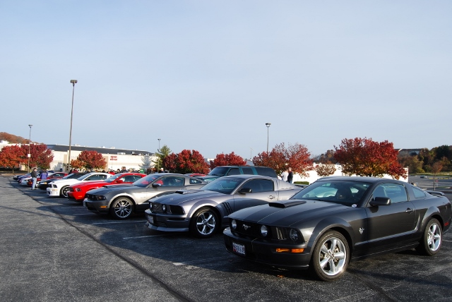 DSC_1264 (640x428).jpg