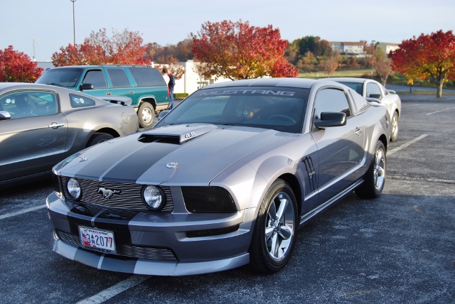 DSC_1262 (640x428).jpg