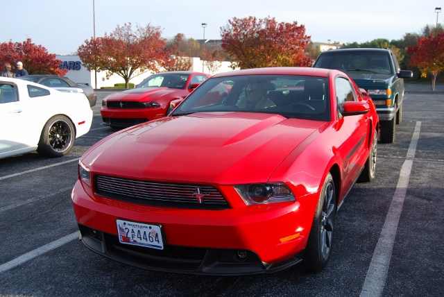 DSC_1260 (640x428).jpg