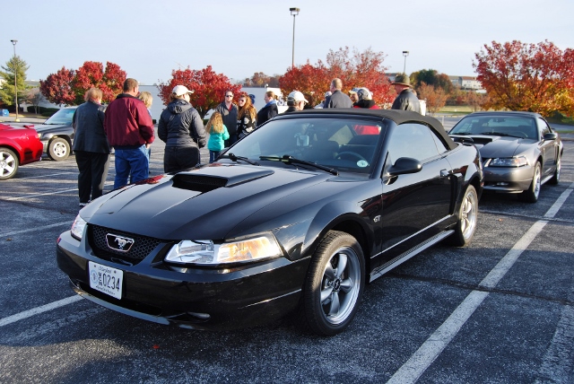 DSC_1258 (640x428).jpg