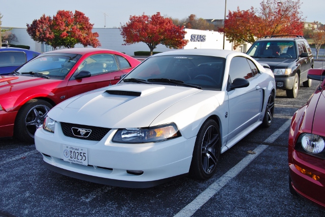 DSC_1255 (640x428).jpg