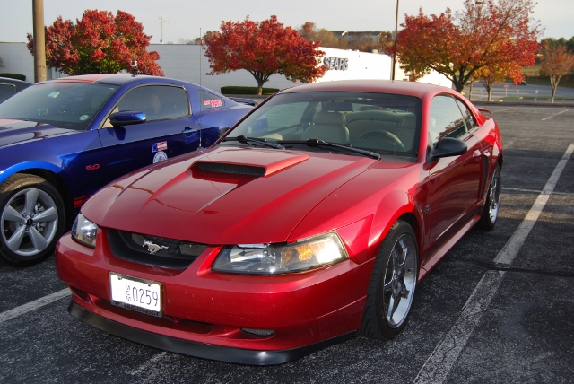 DSC_1254 (640x428).jpg