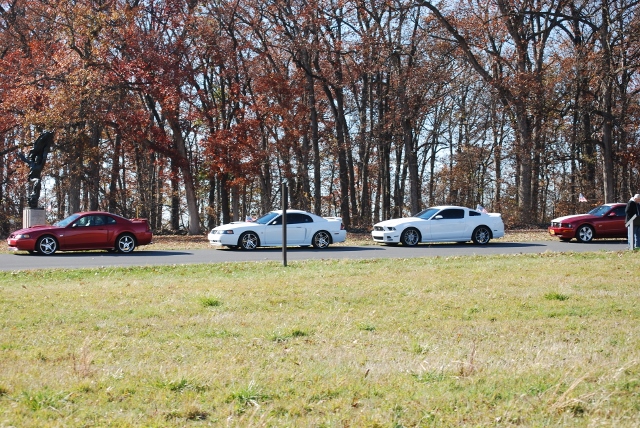 DSC_1349 (640x428).jpg