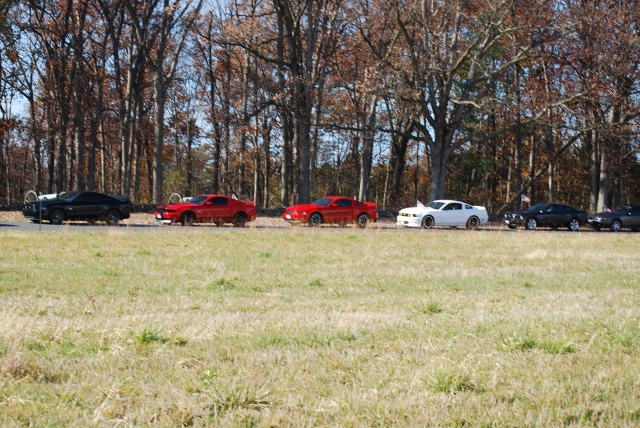 DSC_1348 (640x428).jpg