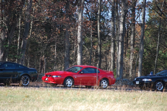 DSC_1343 (640x428).jpg