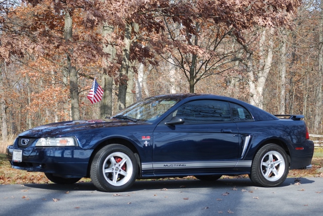 DSC_1333 (640x428).jpg