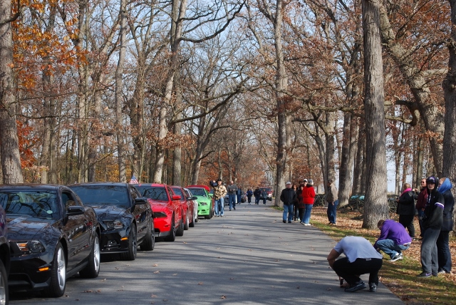 DSC_1330 (640x428).jpg