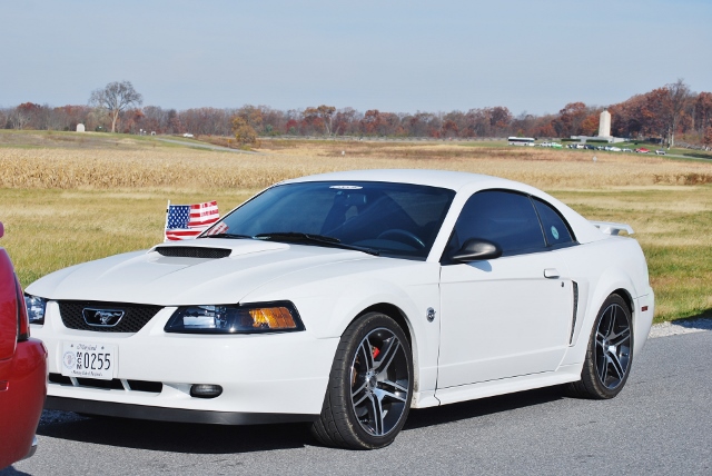 DSC_1310 (640x428).jpg