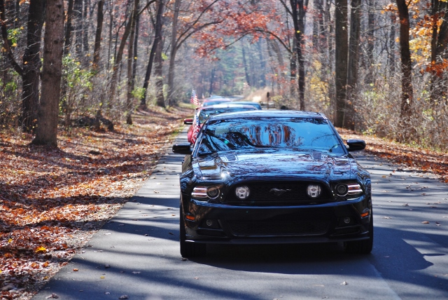 DSC_1366 (640x428).jpg