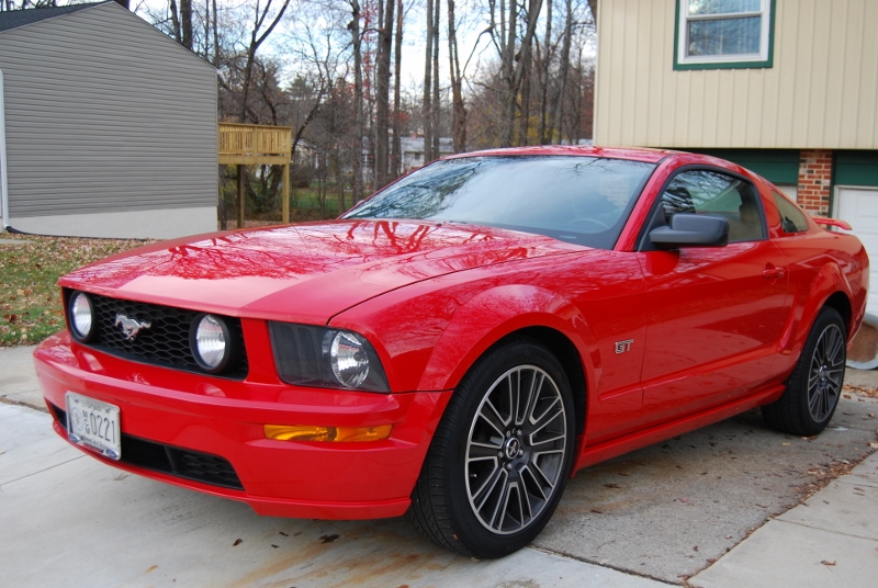 DSC_1478 (800x536).jpg