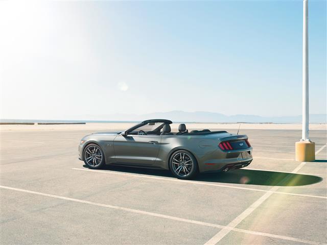 convertible-top-down (Small).jpg
