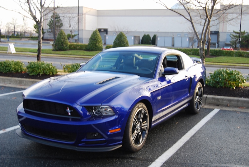 DSC_1572 (800x536).jpg