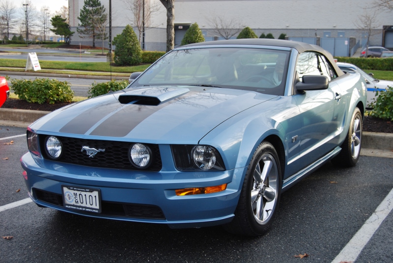 DSC_1592 (800x536).jpg