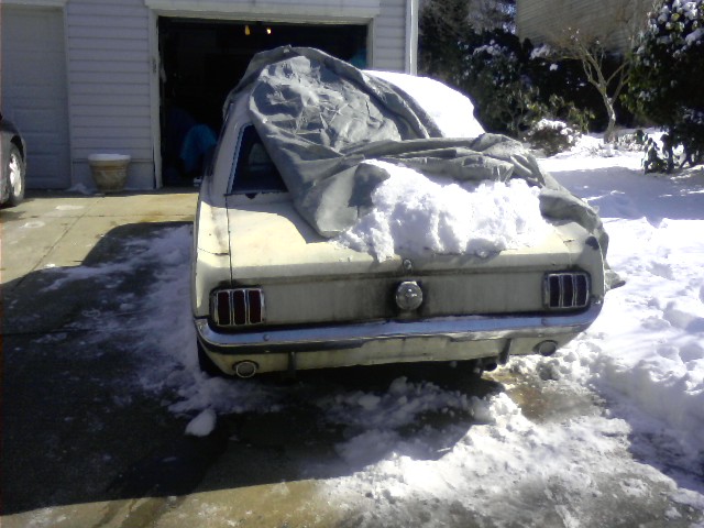 66 stang.jpg
