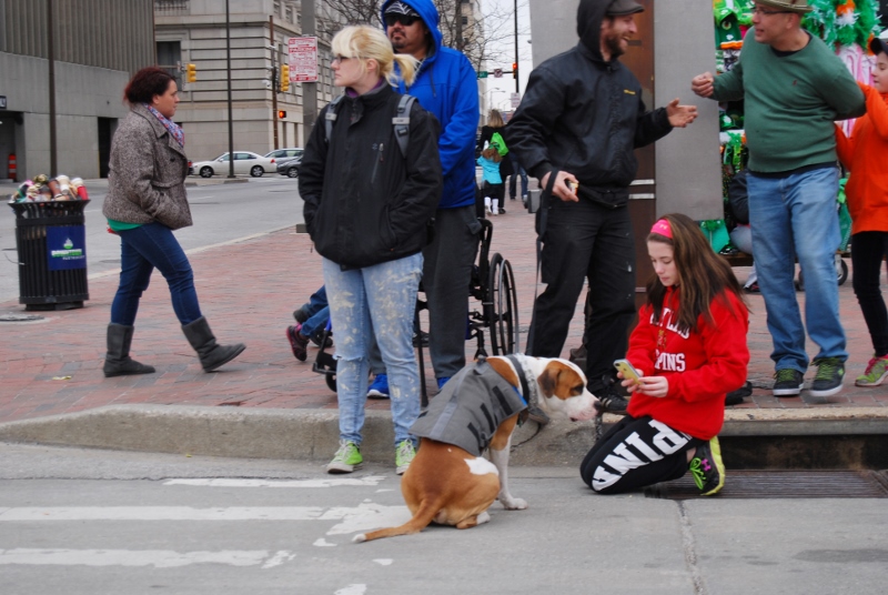 DSC_2574 (800x536).jpg