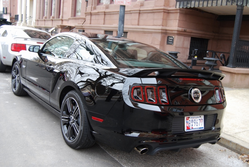 DSC_2457 (800x536).jpg