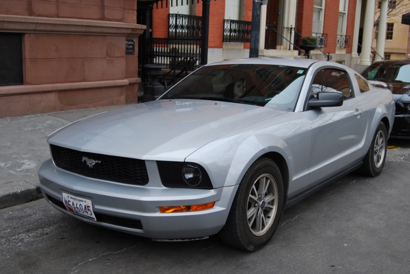 DSC_2444 (800x536).jpg