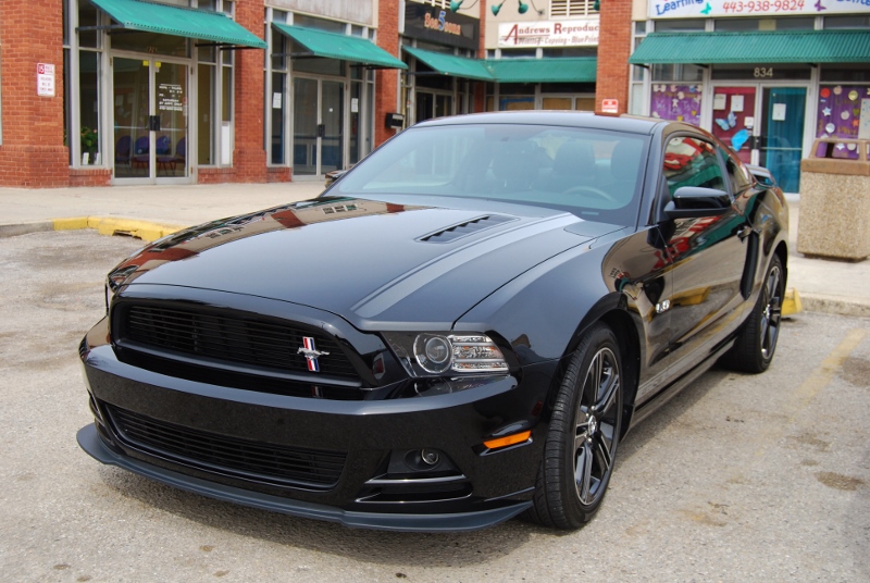 DSC_2415 (800x536).jpg