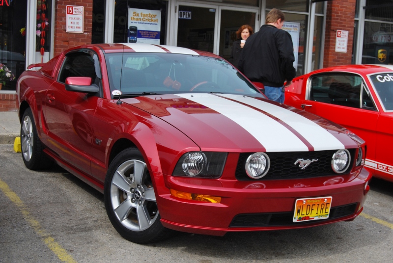 DSC_2409 (800x536).jpg