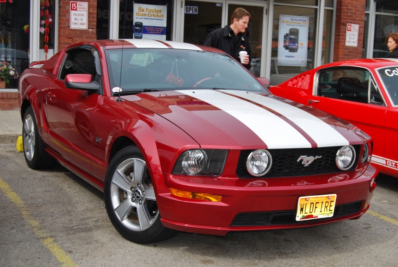 DSC_2408 (800x536).jpg