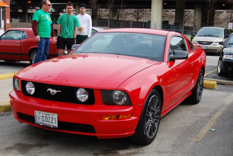 DSC_2406 (800x536).jpg